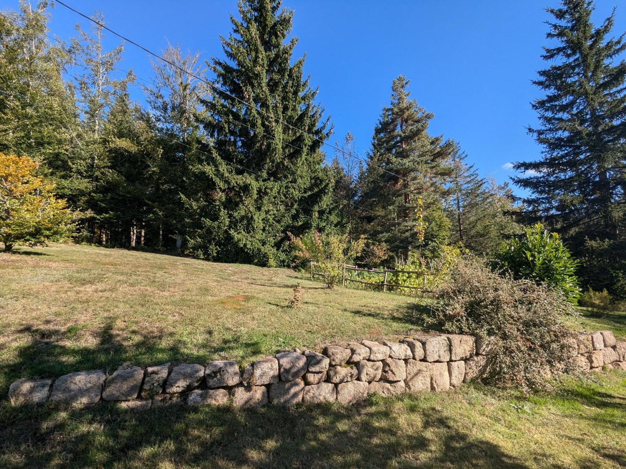 Gite Nature Au Chambon-Sur-Lignon: Terrasse, Wifi, Proche Activites Et Commerces - Fr-1-582-137 Le Chambon-sur-Lignon Exterior photo